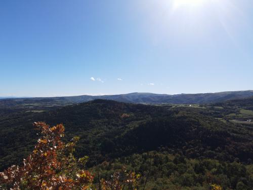 DJI_1620.JPG